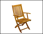 Folding Arm Chair